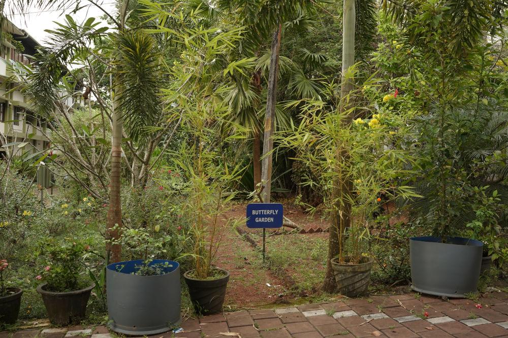 Blog Images