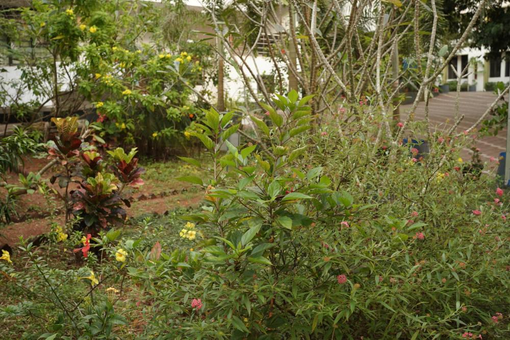 Blog Images