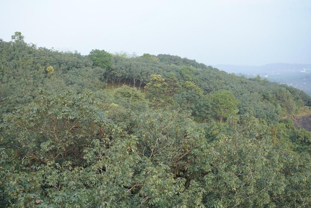 Blog Images