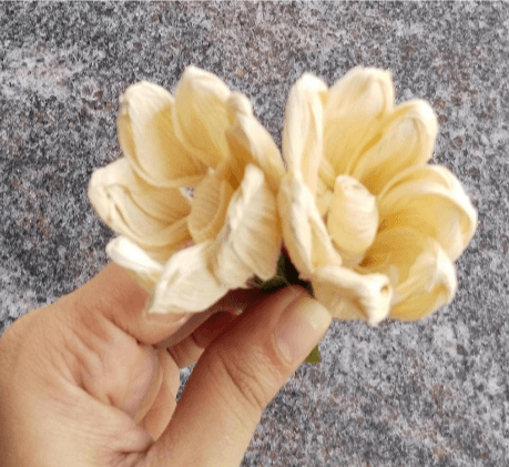 Gallery Images